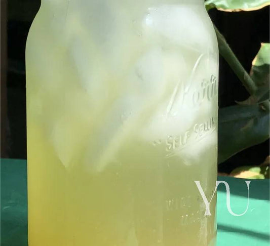 Sparkling Ginger-Spiced Iced Green Tea